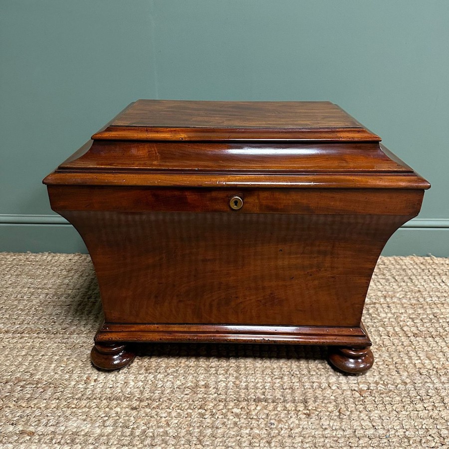 Antique Furniture Antiques World (via WooCommerce) Chest Of Drawers | Superb Quality Regency Antique Cellarette / Wine Cooler