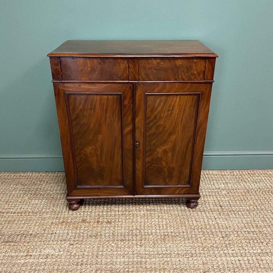 Antique Furniture Antiques World (via WooCommerce) Cupboards & Cabinets | Spectacular Regency Mahogany Antique Collectors Cabinet