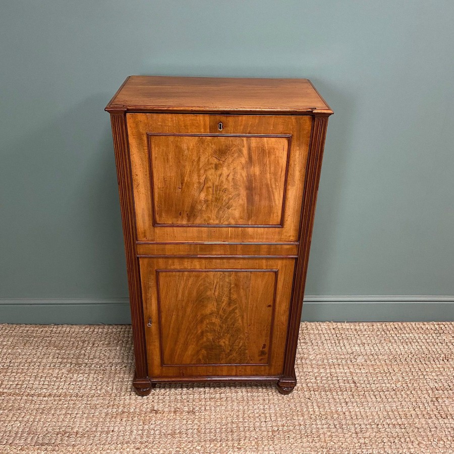 Antique Furniture Antiques World (via WooCommerce) Desks | Regency Mahogany Antique Estate Cupboard With Fitted Interior